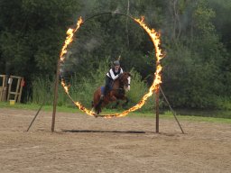 IMG_1654_web